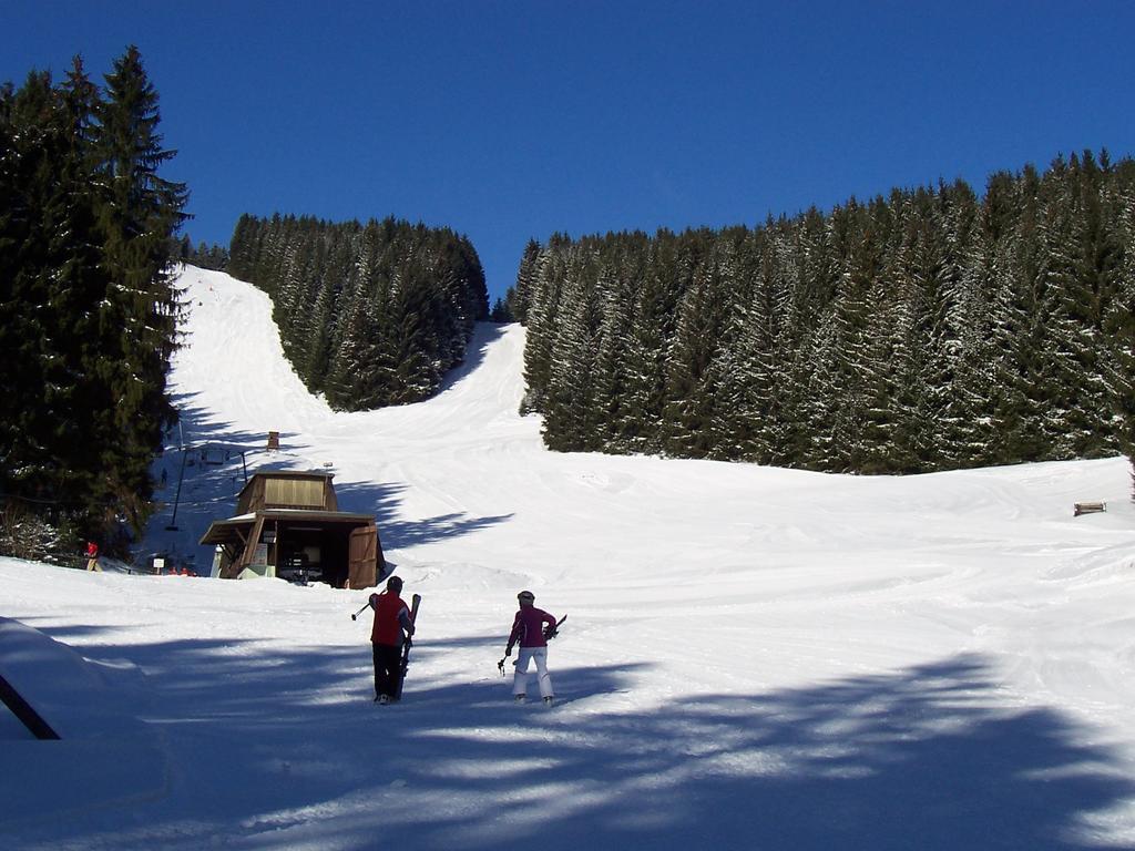 Edelweiss Appartement Schulenberg im Oberharz Buitenkant foto